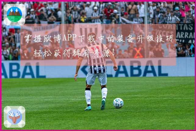 掌握欧博APP下载中的装备升级技巧，轻松获得稀有资源！